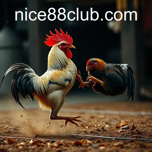 The Rise of Online Sabong: Navigating the Future of Traditional Cockfighting